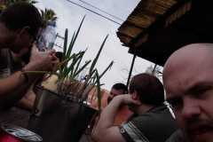 52596313_2035312306584674_2114736738571124736_n