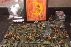 202402399_4406050626113180_3547977241457727749_n